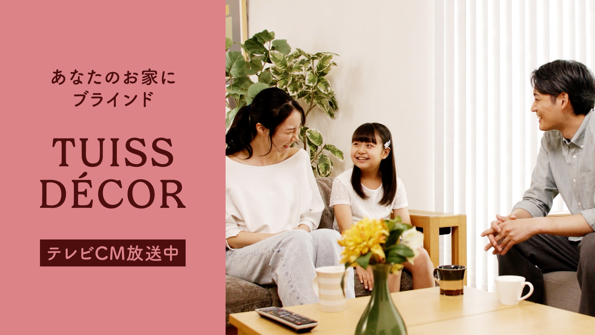 TVCM放送中