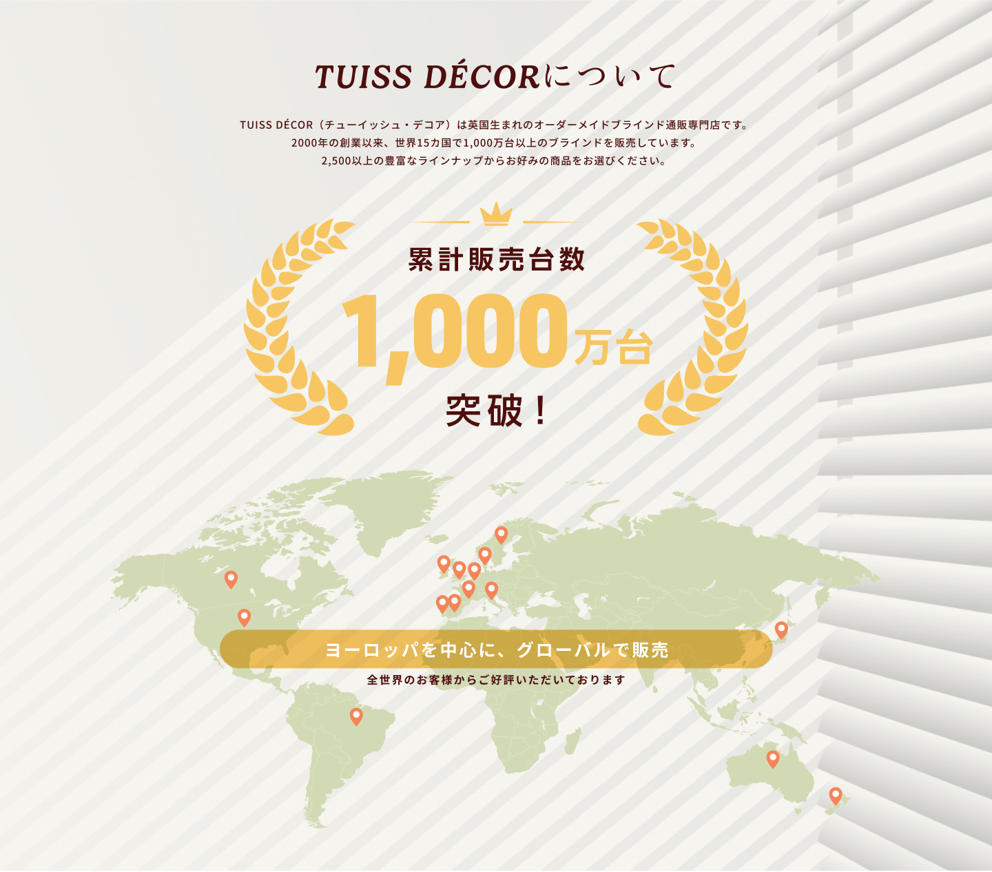 TUISS DECORについて