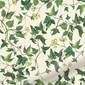 サムネイル写真