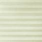 サムネイル写真