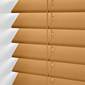サムネイル写真