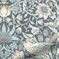 サムネイル写真